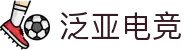 泛亚电竞·(中国区)电子竞技平台